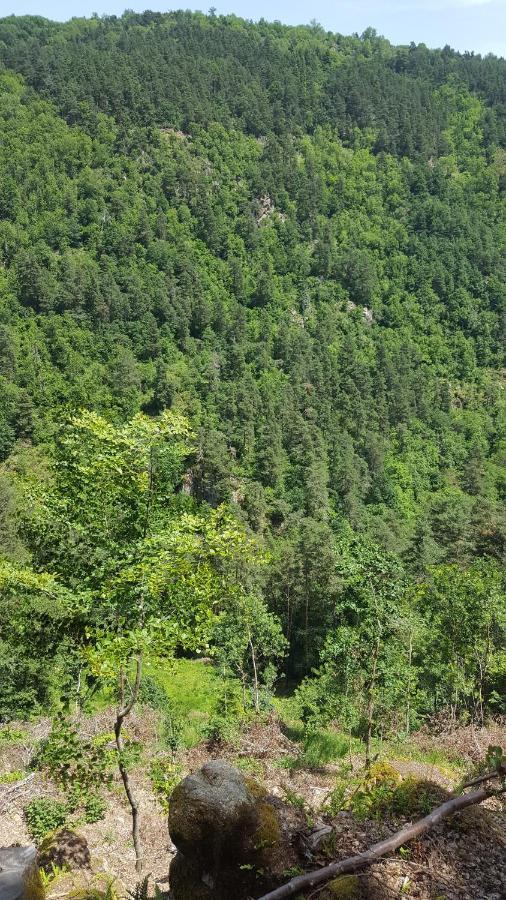 Se Reconnecter A La Nature Au Gite 3 Etoiles De Montager A Saint Andre De Chalencon エクステリア 写真