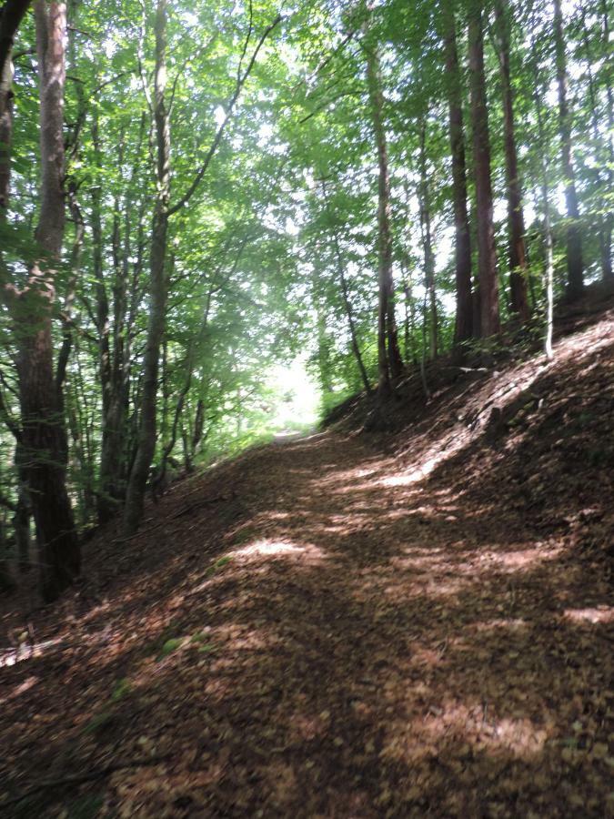 Se Reconnecter A La Nature Au Gite 3 Etoiles De Montager A Saint Andre De Chalencon エクステリア 写真