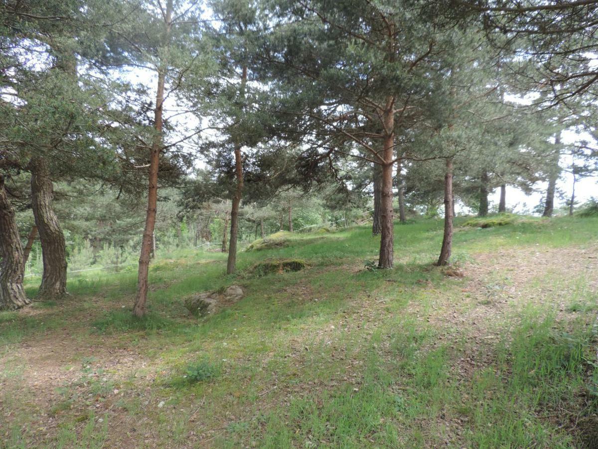 Se Reconnecter A La Nature Au Gite 3 Etoiles De Montager A Saint Andre De Chalencon エクステリア 写真
