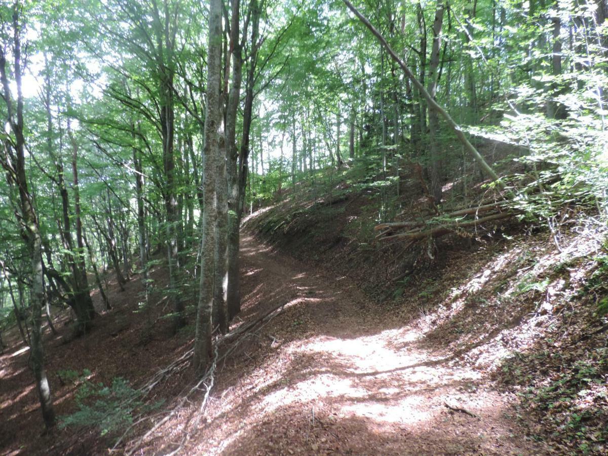 Se Reconnecter A La Nature Au Gite 3 Etoiles De Montager A Saint Andre De Chalencon エクステリア 写真