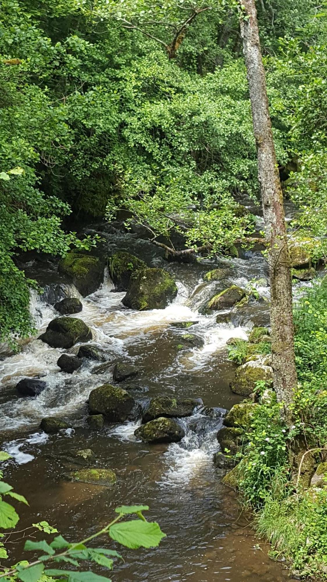 Se Reconnecter A La Nature Au Gite 3 Etoiles De Montager A Saint Andre De Chalencon エクステリア 写真